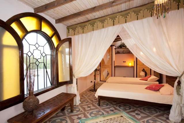 Villa Boheme & Atelier Boheme Dahab Room photo